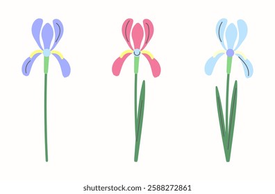 Decorative vector irises in blue, pastel purple, and pink shades isolated on a light background. Beautiful decorative flowers for and garden-themed and spring