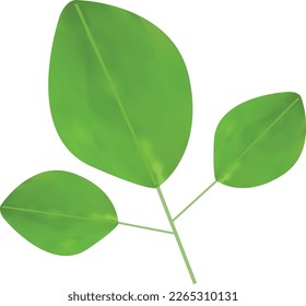 Decorative Vector leaves on white background.
