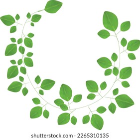 Decorative Vector leaves on white background.