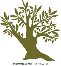 Decorative vector olive tree series