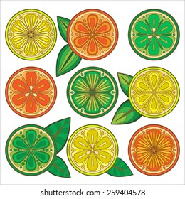 Decorative vector oranges, lemons and limes. Citrus slices in the vector. 