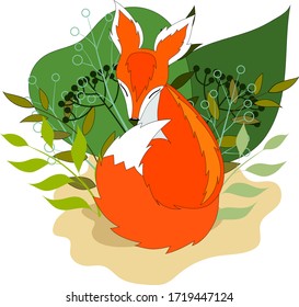 Decorative vector red cute fox in the grass