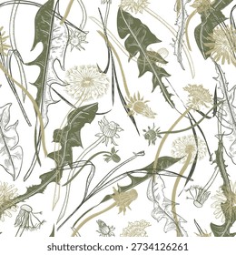 Decorative vector seamless pattern with field dandelions outline. Delicate meadow flowers repeat background in line art. Floral surface print design for fabric with blowball and herbs pastel colors.