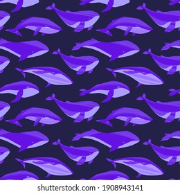 Decorative vector seamless pattern with whales. Repeated texture with hand drawn marine mammals: blue whale, white whale and sperm whale. Underwater background with ocean animals.