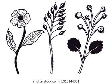 Decorative vector simple twigs and flowers black and white