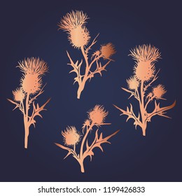 Decorative vector thistle (Carduus acanthoides) silhouette set