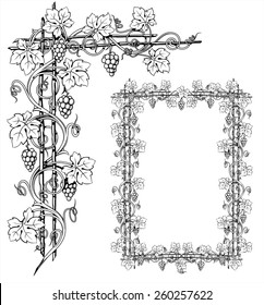 decorative vine in the ornament, antique frame engraving, vector illustration