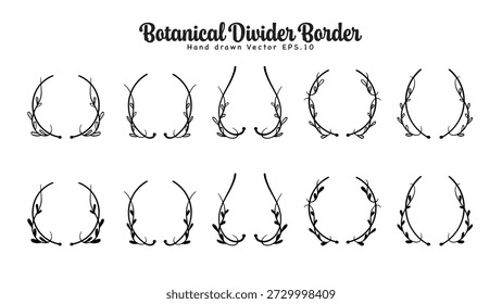 Vinhas Decorativas Deixa Borda Mão Desenhada Set. Ilustração vetorial
