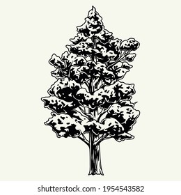 Decorative vintage monochrome tree concept isolated vector illustration