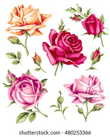 Decorative vintage roses. Vector set of flowers and buds