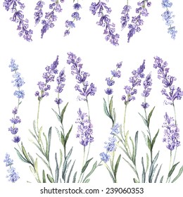 Decorative watercolor background of Lavender. Watercolor.Vector illustration. Illustration for greeting cards, invitations, and other printing projects. 