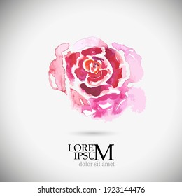 Decorative watercolor isolated flower for your design. Rose object. Vector illustration