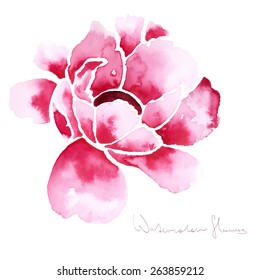 Decorative watercolor isolated flower for your design