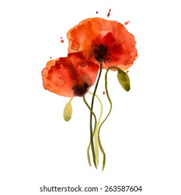 Decorative watercolor poppy flowers isolated on a white background