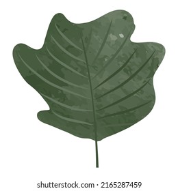 decorative watercolor twigs of plants with leaves, isolated on a white background.