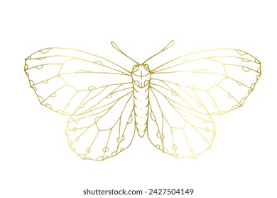 Decorative winged insect of a golden butterfly. Vector graphics.