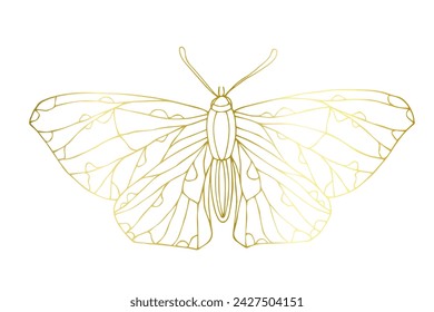 Decorative winged insect of a golden butterfly. Vector graphics.