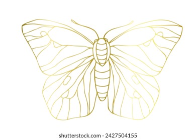 Decorative winged insect of a golden butterfly. Vector graphics.