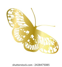 Decorative, winged insect of a golden butterfly. Vector graphics.