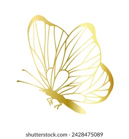 Decorative, winged insect of a golden butterfly. Vector graphics.