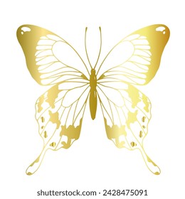 Decorative, winged insect of a golden butterfly. Vector graphics.