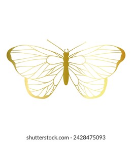 Decorative, winged insect of a golden butterfly. Vector graphics.