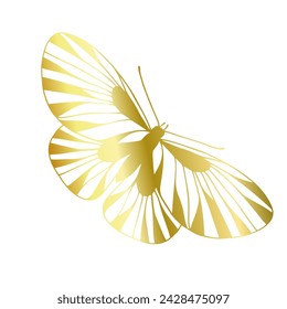 Decorative, winged insect of a golden butterfly. Vector graphics.