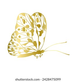 Decorative, winged insect of a golden butterfly. Vector graphics.