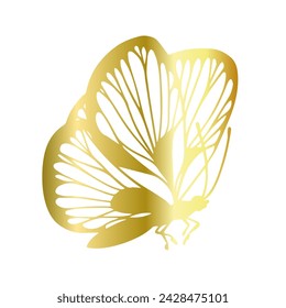 Decorative, winged insect of a golden butterfly. Vector graphics.