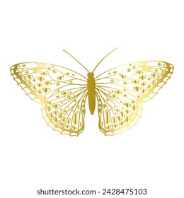 Decorative, winged insect of a golden butterfly. Vector graphics.