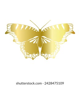 Decorative, winged insect of a golden butterfly. Vector graphics.