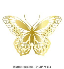 Decorative, winged insect of a golden butterfly. Vector graphics.