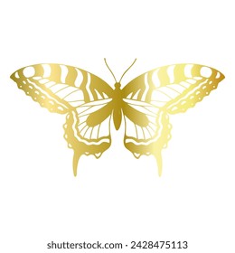 Decorative, winged insect of a golden butterfly. Vector graphics.