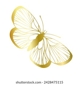 Decorative, winged insect of a golden butterfly. Vector graphics.