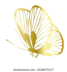 Decorative, winged insect of a golden butterfly. Vector graphics.