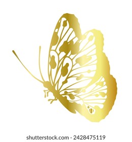 Decorative, winged insect of a golden butterfly. Vector graphics.