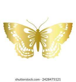 Decorative, winged insect of a golden butterfly. Vector graphics.