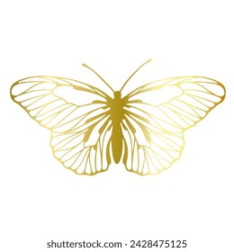 Decorative, winged insect of a golden butterfly. Vector graphics.