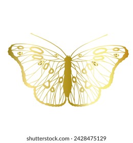 Decorative, winged insect of a golden butterfly. Vector graphics.