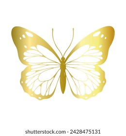 Decorative, winged insect of a golden butterfly. Vector graphics.