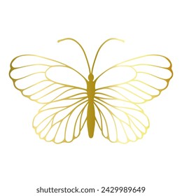 Decorative winged insect of a golden butterfly. Vector graphics.