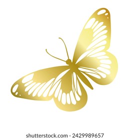 Decorative winged insect of a golden butterfly. Vector graphics.