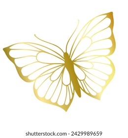 Decorative winged insect of a golden butterfly. Vector graphics.