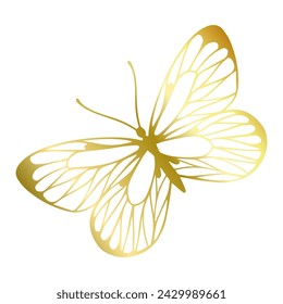 Decorative winged insect of a golden butterfly. Vector graphics.