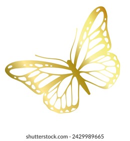 Decorative winged insect of a golden butterfly. Vector graphics.