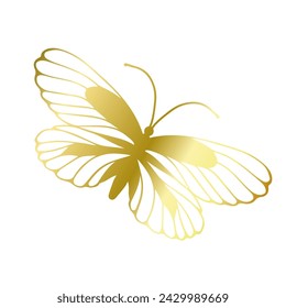 Decorative winged insect of a golden butterfly. Vector graphics.