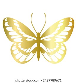 Decorative winged insect of a golden butterfly. Vector graphics.