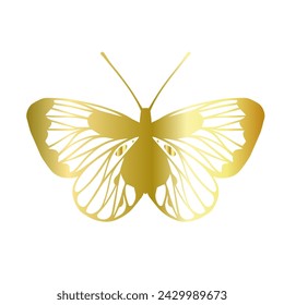 Decorative winged insect of a golden butterfly. Vector graphics.