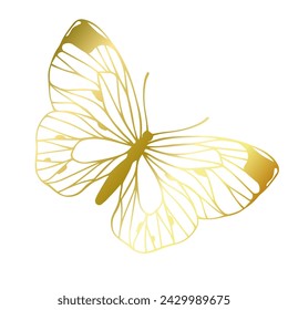 Decorative winged insect of a golden butterfly. Vector graphics.