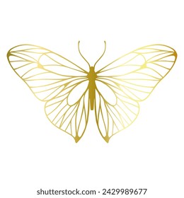 Decorative winged insect of a golden butterfly. Vector graphics.